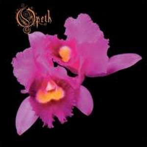 Orchid de Opeth