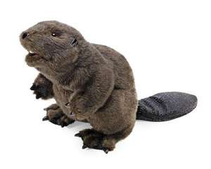 Beaver Puppet: N/A de Folkmanis Puppets