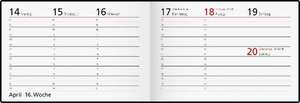 rido/idé 7017563805 Taschenkalender Modell Septimus (2025)| 2 Seiten = 1 Woche| A6 quer| 128 Seiten| Kunststoff-Einband Reflection| grau