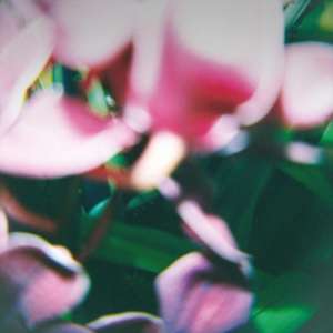 You Make Everything Disappear de Trade Wind