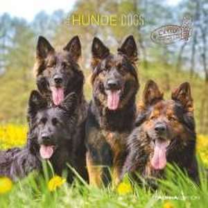 Hunde 2025 - Broschürenkalender 30x30 cm (30x60 geöffnet) - Kalender mit Platz für Notizen - Dogs - Bildkalender - Wandkalender - Hundekalender de Alpha Edition