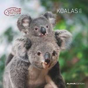 Koalas 2025 - Broschürenkalender 30x30 cm (30x60 geöffnet) - Kalender mit Platz für Notizen - koala bears - Bildkalender - Wandplaner - Bärenkalender de Alpha Edition