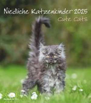 Niedliche Katzenkinder 2025 - Wand-Kalender - Tier-Kalender - 30x34 de Alpha Edition