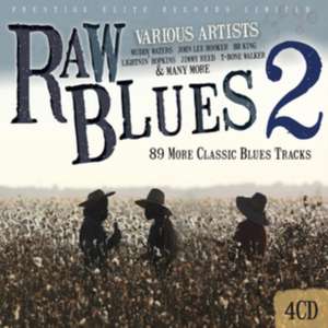 Raw Blues Vol.2 de Various