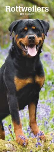 ROTTWEILERS 2019 SLIM CALENDAR de BROWNTROUT UK