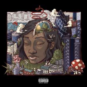 Stillness In Wonderland de Little Simz