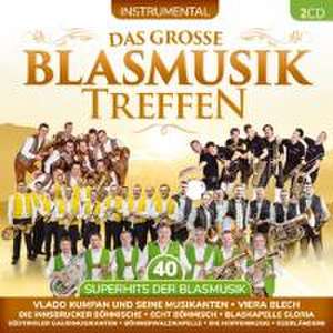 Das groáe Blasmusiktreffen-40 Superhits de Various