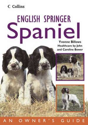 English Springer Spaniel de Yvonne Billows