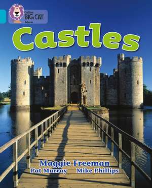 BIG CAT - CASTLES de Maggie Freeman