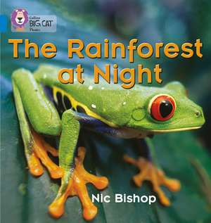 The Rainforest at Night de Nic Bishop