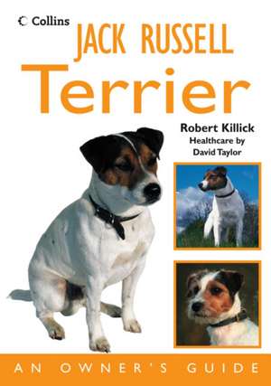 Jack Russell Terrier de Robert Killick