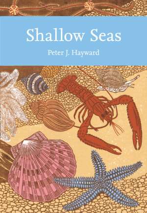 Shallow Seas de Peter Hayward