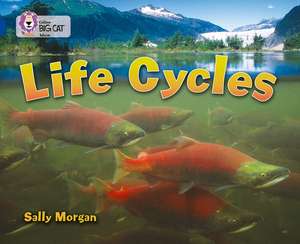 Life Cycles de Sally Morgan