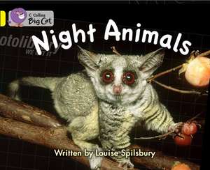 Night Animals de Louise Spilsbury