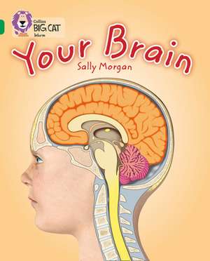 Your Brain de Sally Morgan