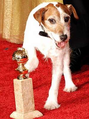 Uggie, the Artist: My Story de Uggie