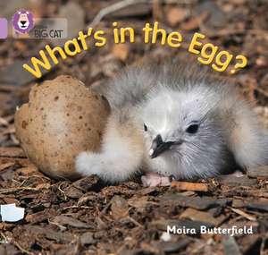 What's in the Egg? de Moira Butterfield