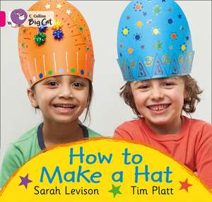 How to Make a Hat de Sarah Levison