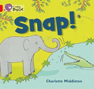 Snap! de Charlotte Middleton