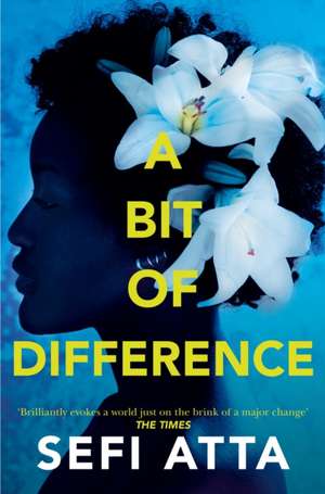 Atta, S: A Bit of Difference de Sefi Atta