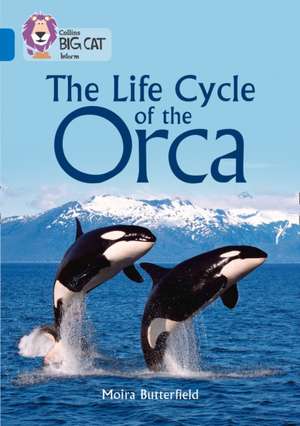 The Life Cycle of the Orca de Moira Butterfield