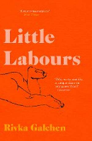 Little Labours de Rivka Galchen