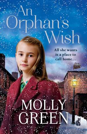 An Orphan's Wish de Molly Green