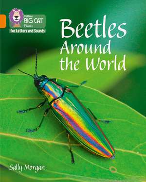 Beetles Around the World de Sally Morgan