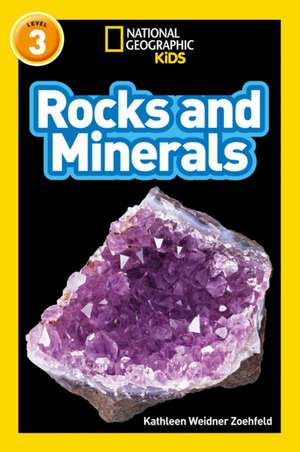 Rocks and Minerals de Kathleen Weidner Zoehfeld