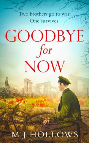 Goodbye for Now de M J Hollows