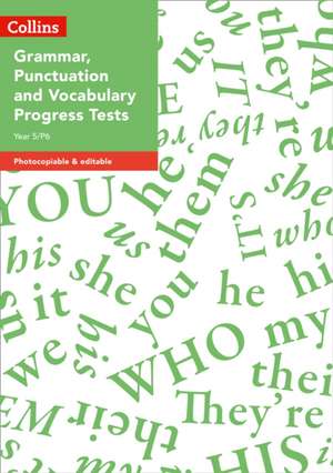 Year 5/P6 Grammar, Punctuation and Vocabulary Progress Tests de Rachel Clarke