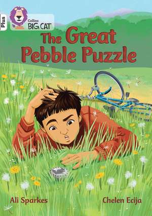 The Great Pebble Puzzle de Ali Sparkes