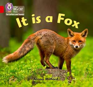 It is a Fox de Alison Milford