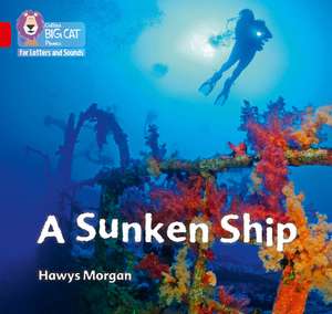 A Sunken Ship de Hawys Morgan