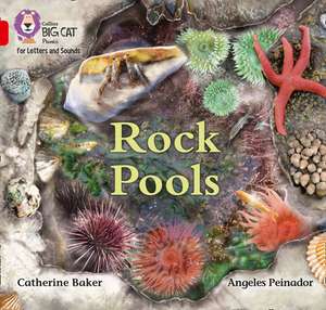 Rock Pools de Catherine Baker