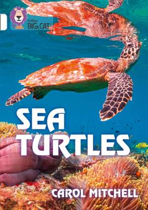 Sea Turtles de Carol Mitchell