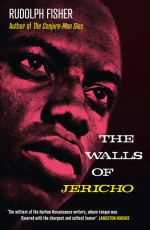 The Walls of Jericho de Rudolph Fisher