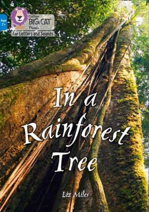 In a Rainforest Tree de Liz Miles