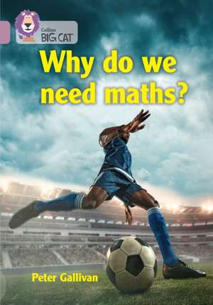 BIG CAT_WHY WE NEED MATHS de Peter Gallivan