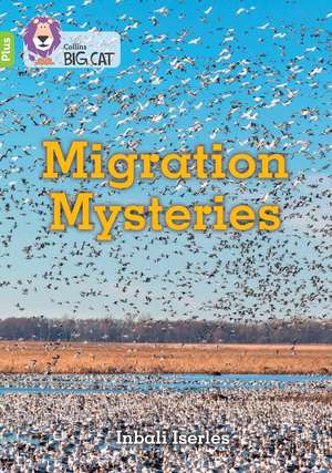 Migration Mysteries de Inbali Iserles