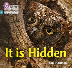 It is Hidden de Paul Harrison