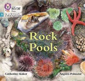 Rock Pools de Catherine Baker