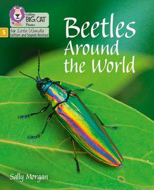 Beetles Around the World de Sally Morgan