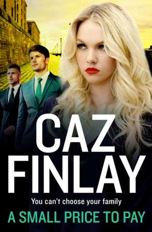 A Small Price to Pay de Caz Finlay