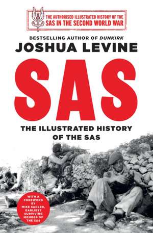 SAS de Joshua Levine