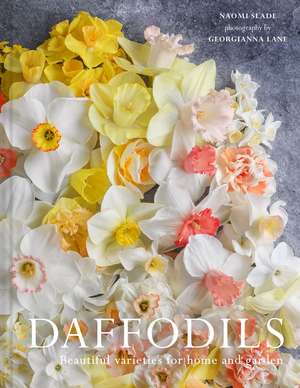DAFFODILS HB de Naomi Slade