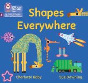 Shapes Everywhere de Charlotte Raby