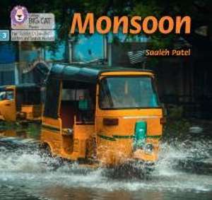 Monsoon de Saaleh Patel