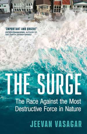 The Surge de Jeevan Vasagar