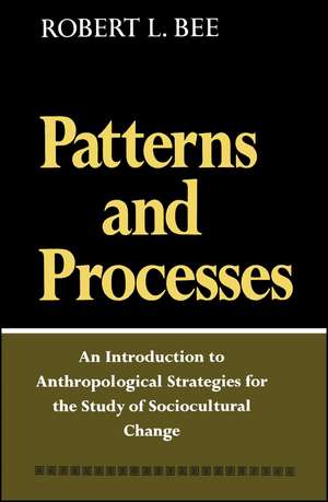 Patterns and Process de Robert L. Bee